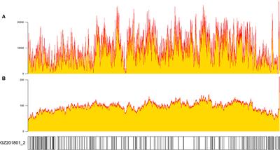 Clinical sequencing uncovers the genomic characteristics and mutation spectrum of the 2018 African swine fever virus in Guangdong, China